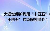 大遗址保护利用“十四五”专项规划（关于大遗址保护利用“十四五”专项规划简介）