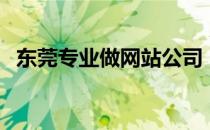 东莞专业做网站公司（东莞做网站多少钱）