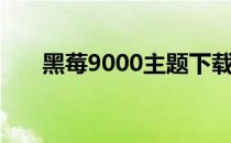 黑莓9000主题下载（黑莓9000主题）