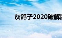 灰鸽子2020破解版（灰鸽子2012）