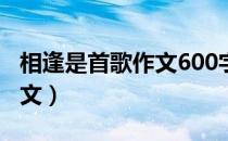 相逢是首歌作文600字记叙文（相逢是首歌作文）