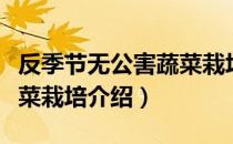 反季节无公害蔬菜栽培（关于反季节无公害蔬菜栽培介绍）