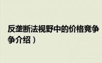 反垄断法视野中的价格竞争（关于反垄断法视野中的价格竞争介绍）