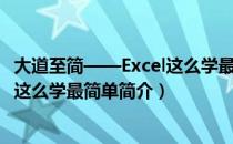 大道至简——Excel这么学最简单（关于大道至简——Excel这么学最简单简介）