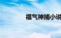 福气神捕小说（福气神捕）