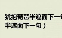 犹抱琵琶半遮面下一句是什么套路（犹抱琵琶半遮面下一句）