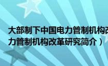 大部制下中国电力管制机构改革研究（关于大部制下中国电力管制机构改革研究简介）