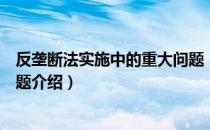 反垄断法实施中的重大问题（关于反垄断法实施中的重大问题介绍）