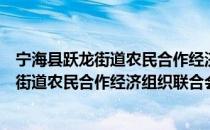 宁海县跃龙街道农民合作经济组织联合会（关于宁海县跃龙街道农民合作经济组织联合会介绍）