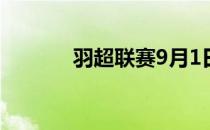 羽超联赛9月1日青岛击败瑞昌