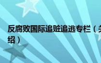 反腐败国际追赃追逃专栏（关于反腐败国际追赃追逃专栏介绍）