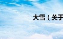 大雪（关于大雪简介）