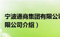 宁波通商集团有限公司（关于宁波通商集团有限公司介绍）