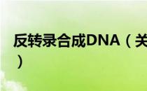 反转录合成DNA（关于反转录合成DNA介绍）