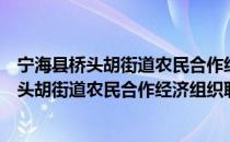 宁海县桥头胡街道农民合作经济组织联合会（关于宁海县桥头胡街道农民合作经济组织联合会介绍）