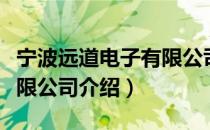 宁波远道电子有限公司（关于宁波远道电子有限公司介绍）