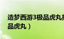 造梦西游3极品虎丸技能搭配（造梦西游3极品虎丸）