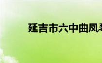 延吉市六中曲凤琴（延吉市六中）