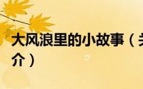 大风浪里的小故事（关于大风浪里的小故事简介）