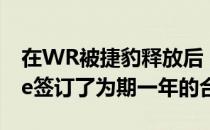 在WR被捷豹释放后 爱国者队与Marqise Lee签订了为期一年的合同