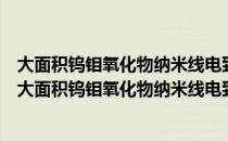 大面积钨钼氧化物纳米线电致变色及其应用基础研究（关于大面积钨钼氧化物纳米线电致变色及其应用基础研究简介）