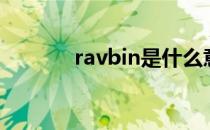 ravbin是什么意思（ravbin）