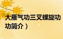 大雁气功三叉螺旋功（关于大雁气功三叉螺旋功简介）