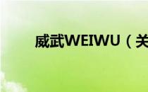 威武WEIWU（关于威武WEIWU）