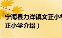 宁海县力洋镇文正小学（关于宁海县力洋镇文正小学介绍）