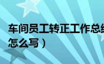 车间员工转正工作总结怎么写（转正工作总结怎么写）