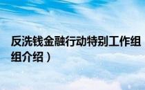 反洗钱金融行动特别工作组（关于反洗钱金融行动特别工作组介绍）