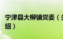 宁津县大柳镇党委（关于宁津县大柳镇党委介绍）