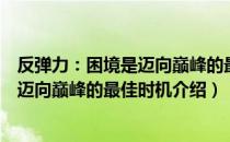 反弹力：困境是迈向巅峰的最佳时机（关于反弹力：困境是迈向巅峰的最佳时机介绍）