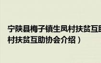 宁陕县梅子镇生凤村扶贫互助协会（关于宁陕县梅子镇生凤村扶贫互助协会介绍）