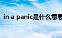 in a panic是什么意思（panic是什么意思）