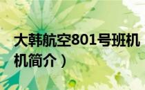 大韩航空801号班机（关于大韩航空801号班机简介）