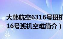 大韩航空6316号班机空难（关于大韩航空6316号班机空难简介）