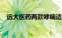 远大医药两款哮喘适应症产品在国内上市