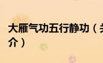 大雁气功五行静功（关于大雁气功五行静功简介）