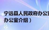 宁远县人民政府办公室（关于宁远县人民政府办公室介绍）