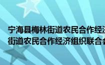 宁海县梅林街道农民合作经济组织联合会（关于宁海县梅林街道农民合作经济组织联合会介绍）