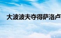 大波波夫夺得萨洛卢羽球公开赛男单冠军