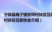 宁陕县梅子镇安坪村扶贫互助协会（关于宁陕县梅子镇安坪村扶贫互助协会介绍）