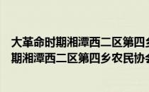 大革命时期湘潭西二区第四乡农民协会木牌（关于大革命时期湘潭西二区第四乡农民协会木牌简介）