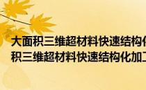 大面积三维超材料快速结构化加工新技术的研究（关于大面积三维超材料快速结构化加工新技术的研究简介）