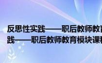 反思性实践——职后教师教育模块课程研究（关于反思性实践——职后教师教育模块课程研究介绍）