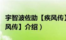 宇智波佐助【疾风传】（关于宇智波佐助【疾风传】介绍）