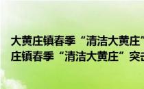 大黄庄镇春季“清洁大黄庄”突击月活动动员会（关于大黄庄镇春季“清洁大黄庄”突击月活动动员会简介）