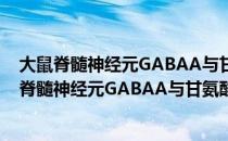 大鼠脊髓神经元GABAA与甘氨酸受体的共调控（关于大鼠脊髓神经元GABAA与甘氨酸受体的共调控简介）