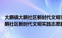 大鹏镇大鹏社区新时代文明实践志愿服务队（关于大鹏镇大鹏社区新时代文明实践志愿服务队简介）